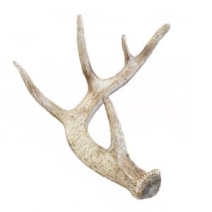 Decorative Antler